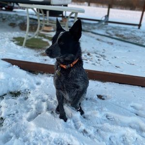 Meet your Posher, Bryan